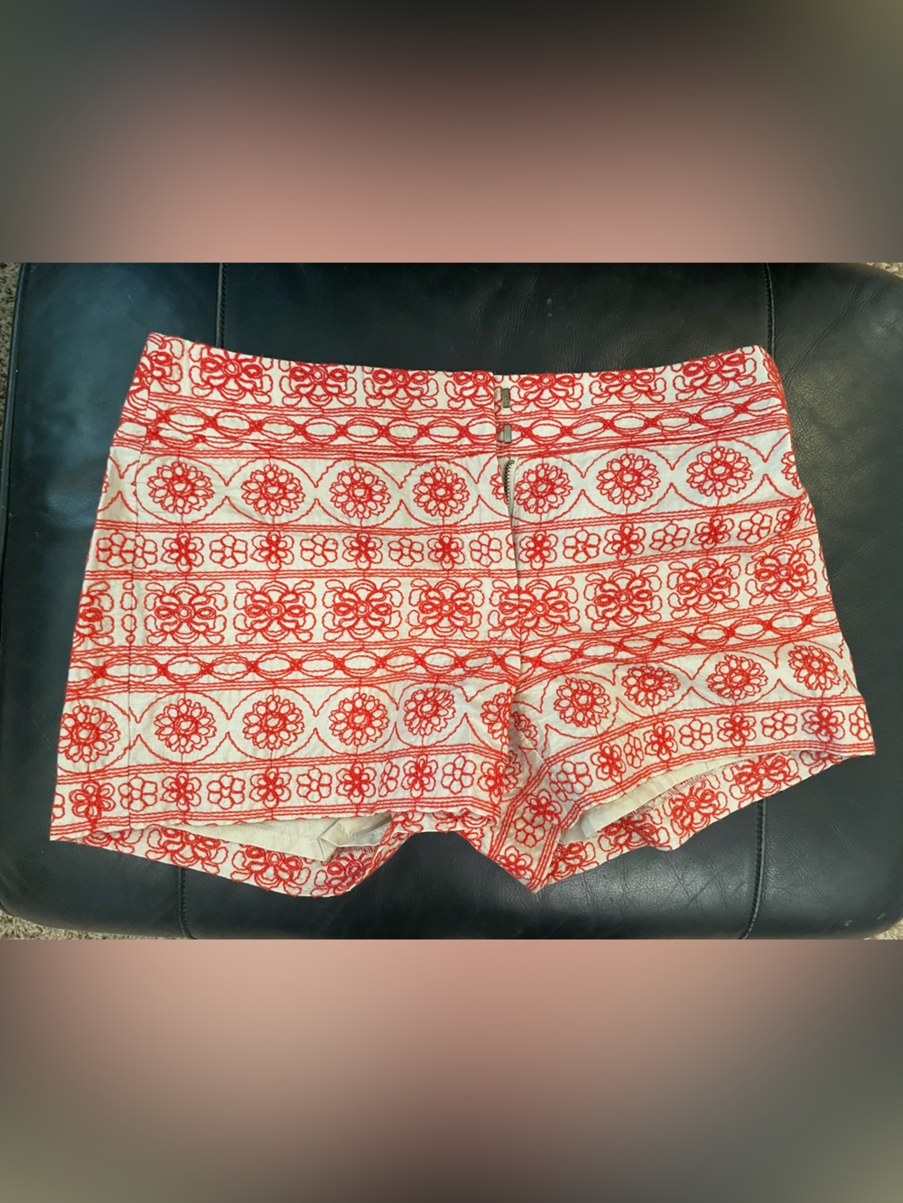 Embroidered Loft Shorts
